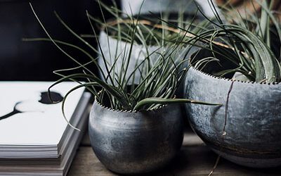 Lorem ipsum dolor sit amet.